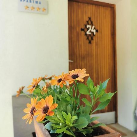 Apartma Rekar - A House, Where You Can Relax In The Embrace Of Nature 耶塞尼采 外观 照片