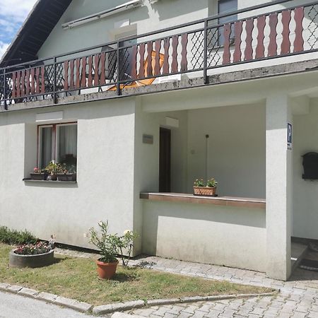 Apartma Rekar - A House, Where You Can Relax In The Embrace Of Nature 耶塞尼采 外观 照片