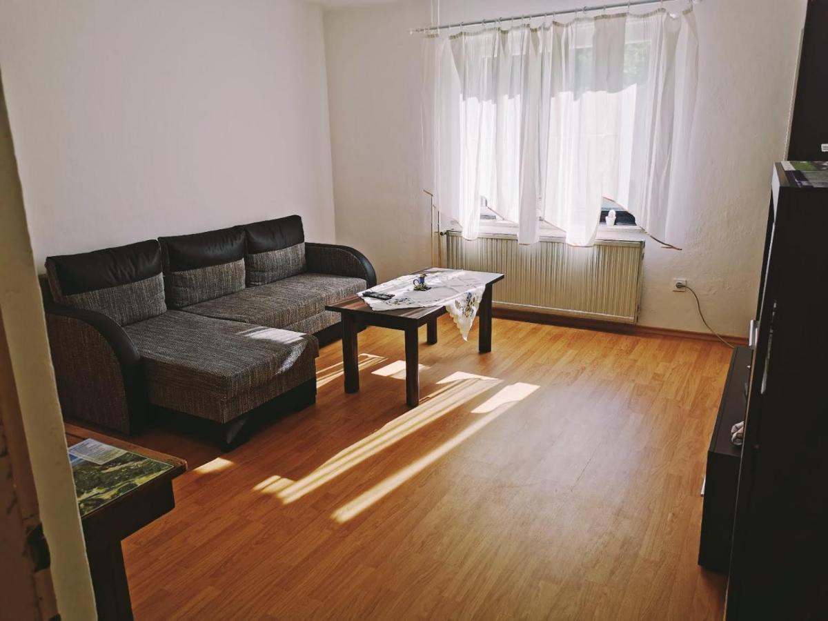 Apartma Rekar - A House, Where You Can Relax In The Embrace Of Nature 耶塞尼采 外观 照片