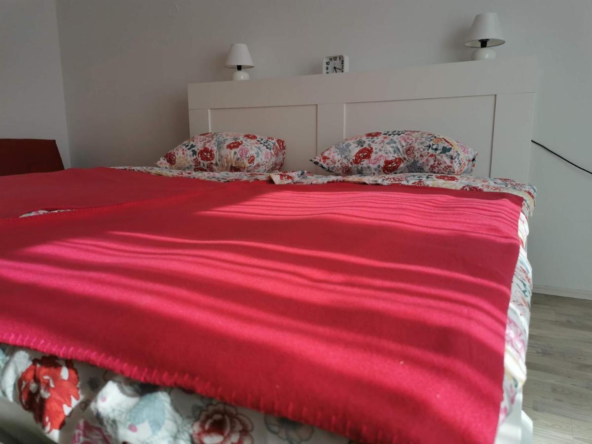 Apartma Rekar - A House, Where You Can Relax In The Embrace Of Nature 耶塞尼采 外观 照片