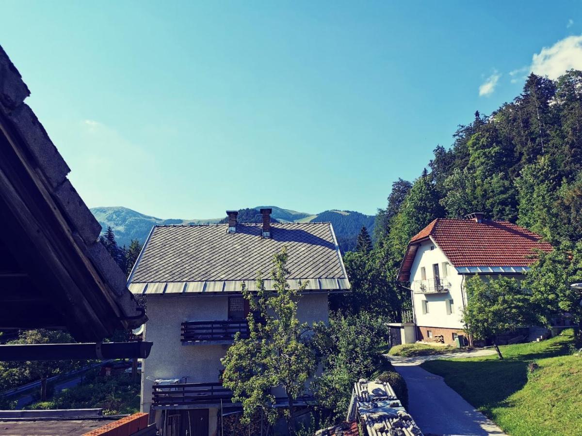 Apartma Rekar - A House, Where You Can Relax In The Embrace Of Nature 耶塞尼采 外观 照片