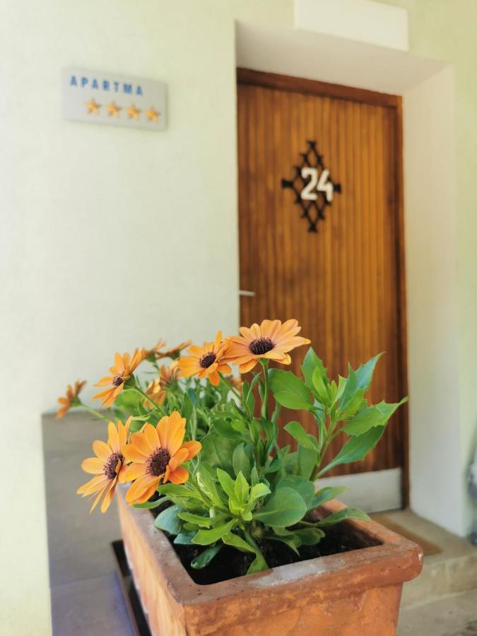Apartma Rekar - A House, Where You Can Relax In The Embrace Of Nature 耶塞尼采 外观 照片