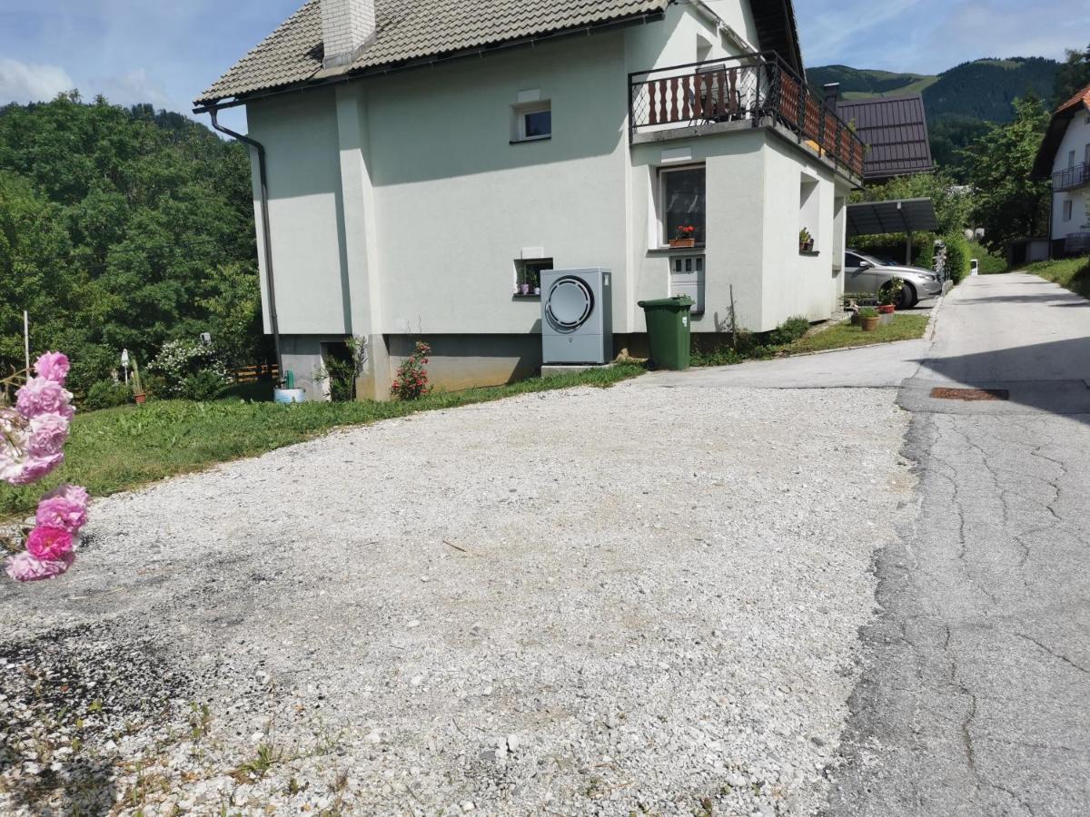 Apartma Rekar - A House, Where You Can Relax In The Embrace Of Nature 耶塞尼采 外观 照片