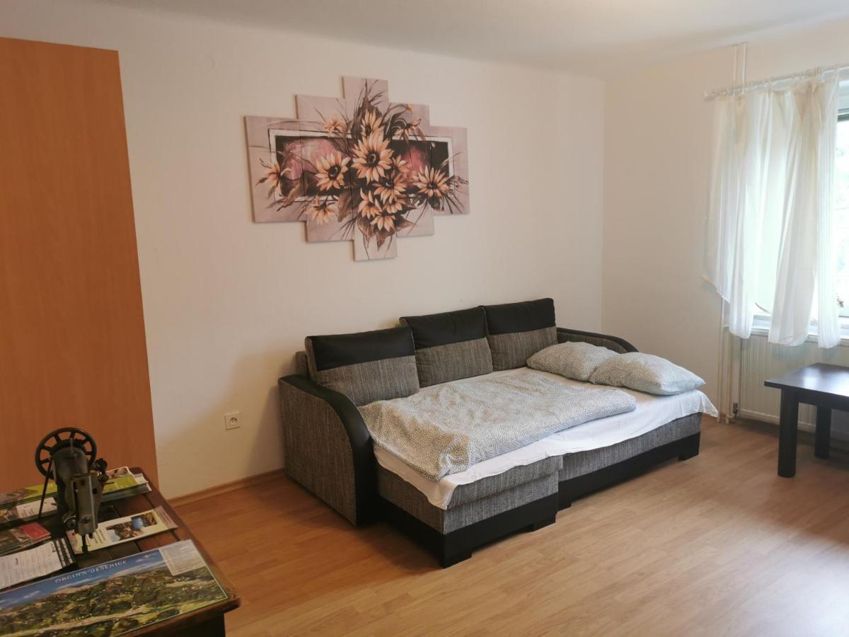 Apartma Rekar - A House, Where You Can Relax In The Embrace Of Nature 耶塞尼采 外观 照片
